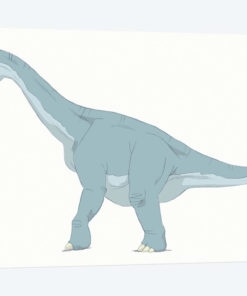 Camarasaurus Pencil Drawing With Digital Color