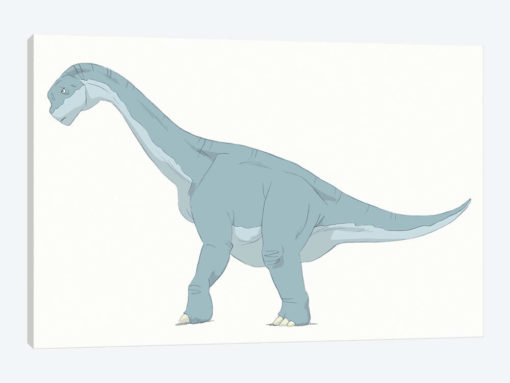 Camarasaurus Pencil Drawing With Digital Color