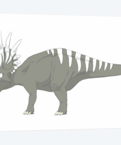 Styracosaurus Pencil Drawing With Digital Color