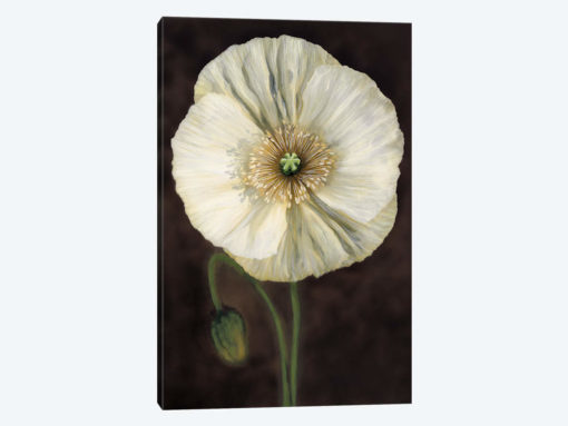 Flora I