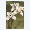 Orchid With Palm I