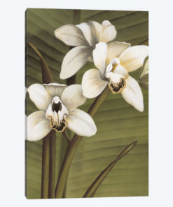 Orchid With Palm I
