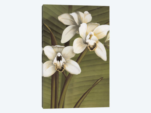 Orchid With Palm I