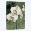 Orchid With Palm II