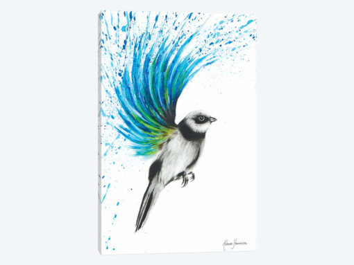 Turquoise Finch