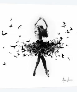 Free Bird Dance