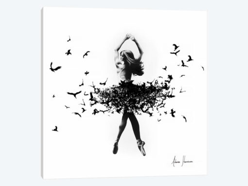 Free Bird Dance