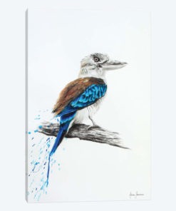 Blue Kookaburra