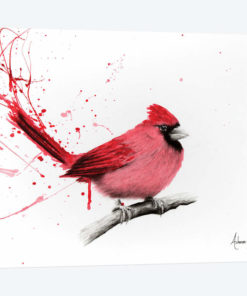 Curious Cardinal
