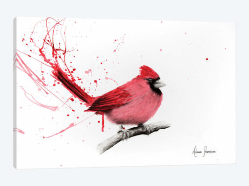 Curious Cardinal