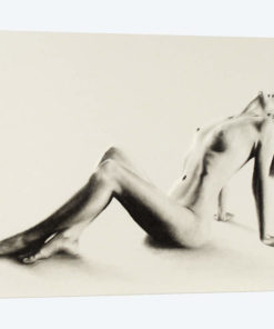 Nude Woman Charcoal Study 59