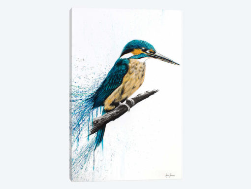 Enlightened Kingfisher