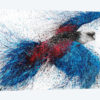 Crimson Resin Rosella