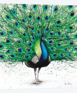 Pavo Indigo