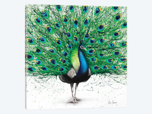 Pavo Indigo