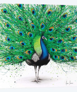 Pavo Pthalo