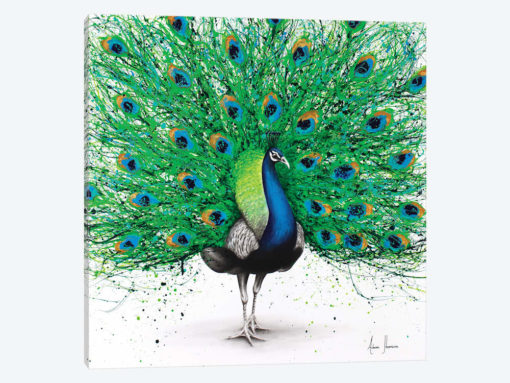 Pavo Pthalo