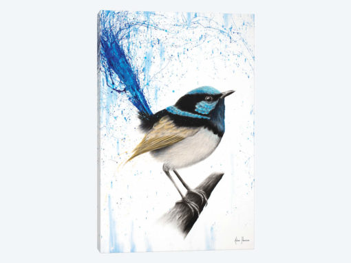 Wren Of Rain