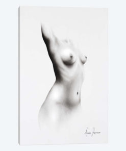 Nude Woman Charcoal Study 64