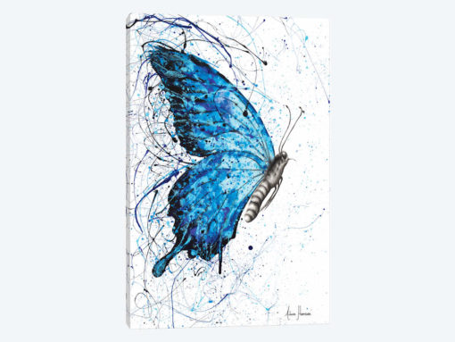 Blue Butterfly Rains