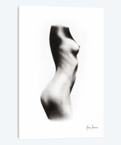 Nude Woman Charcoal Study 62