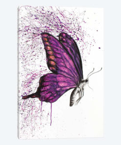 Song Of A Butterfly