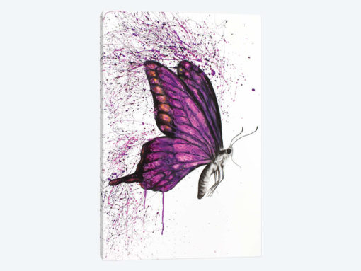 Song Of A Butterfly