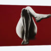The Pleasure Of Cadmium Red