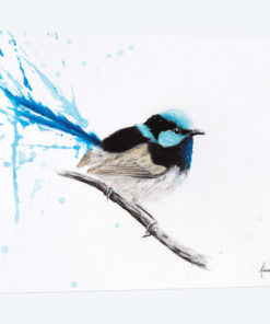 Wren Dreaming