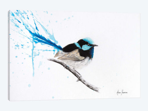 Wren Dreaming