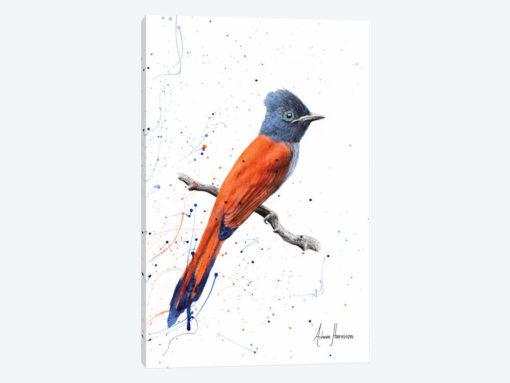 Bird of Sunsets