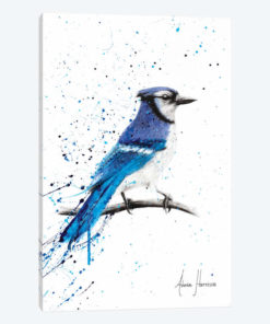 Blue Jay Sunday