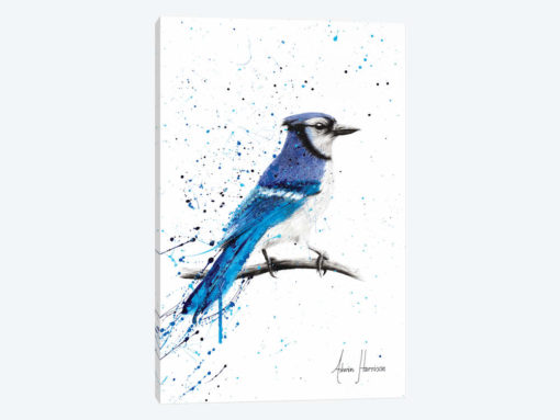 Blue Jay Sunday