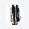 Nude Woman Charcoal Study 65