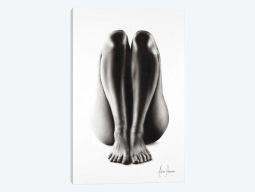 Nude Woman Charcoal Study 65
