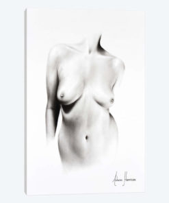 Nude Woman Charcoal Study 66