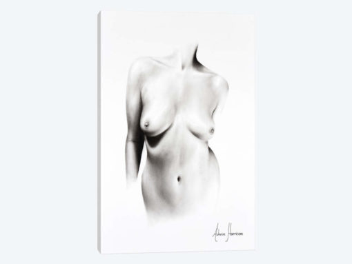 Nude Woman Charcoal Study 66