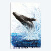 Whale Waves