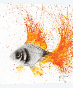 Fish Flare