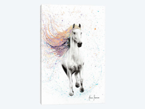 Horse Of Rhythm
