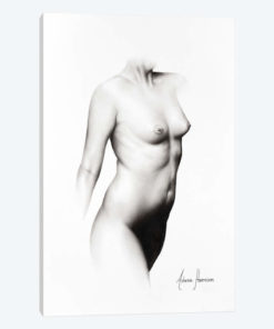 Nude Woman Charcoal Study 68