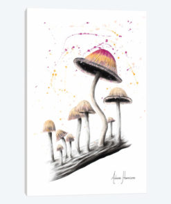 Mushroom Dance