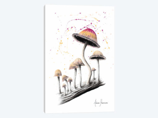 Mushroom Dance