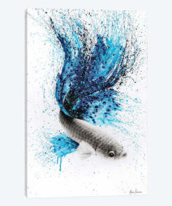 Galaxy Gourami