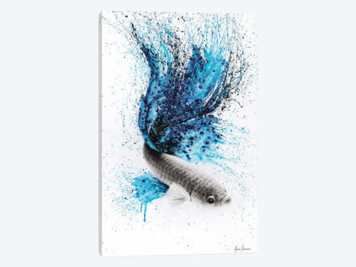 Galaxy Gourami