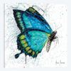 Morning Citrus Butterfly