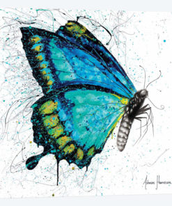 Morning Citrus Butterfly