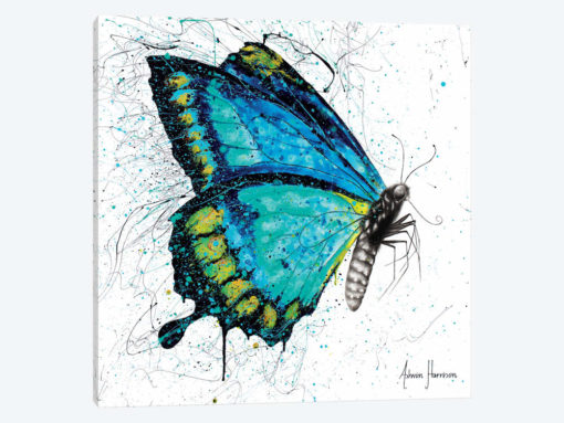 Morning Citrus Butterfly