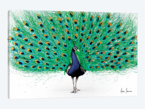 Proud Peacock