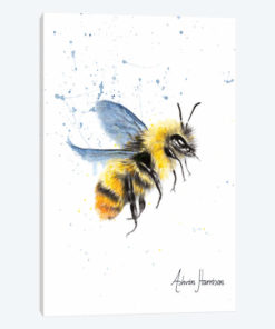 Sun Bee